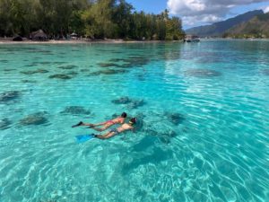 Snorkeling on crystal clear blue lagoon of Moorea