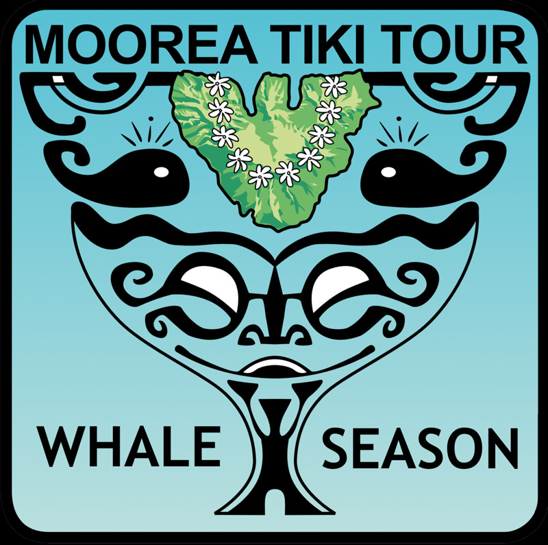 Saison Et Observation Des Baleines à Bosse à Moorea - Moorea Tiki Tour