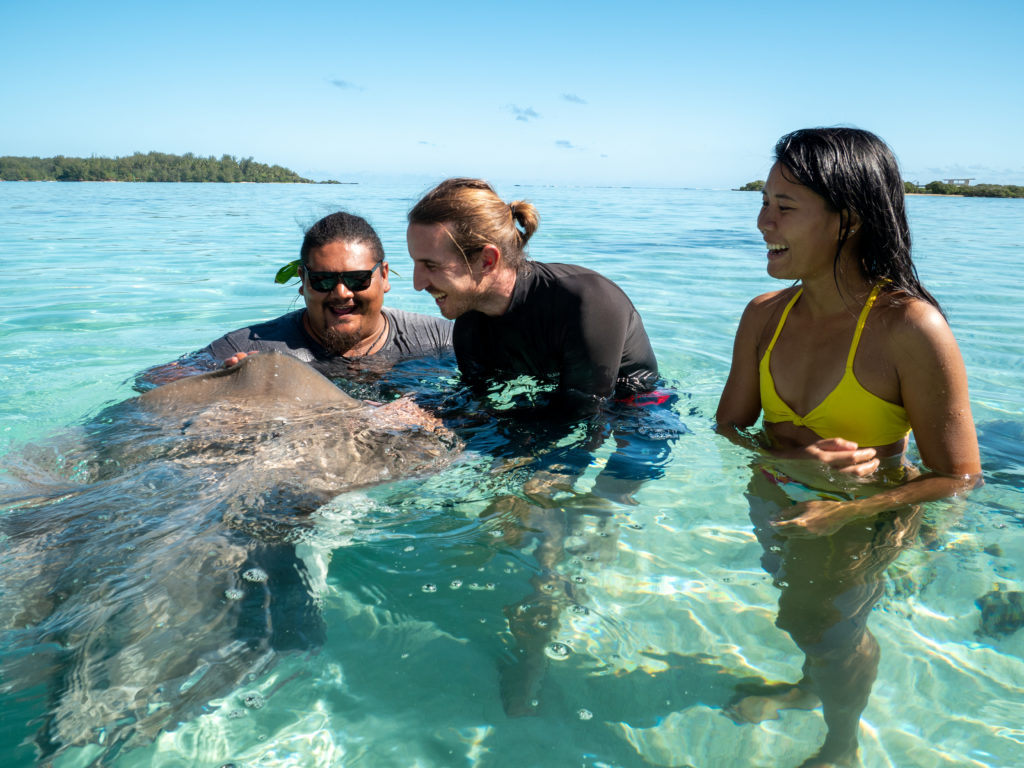 rencontre avec les raies à Moorea